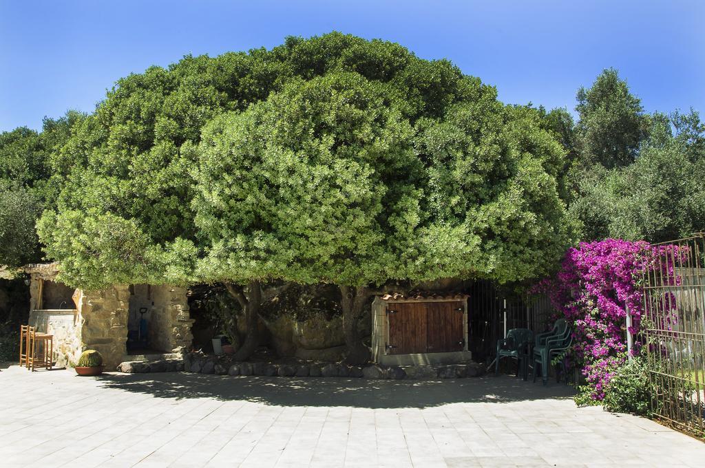 Agriturismo Il Paradiso Iglesias Luaran gambar