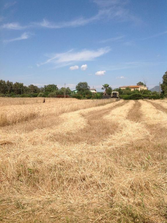 Agriturismo Il Paradiso Iglesias Luaran gambar