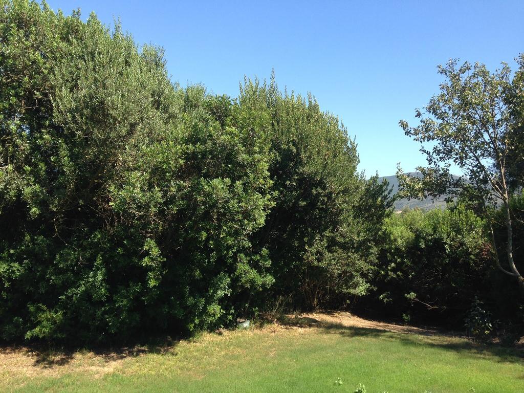Agriturismo Il Paradiso Iglesias Luaran gambar